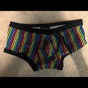 Andrew Christian Men’s Swimwear, Large